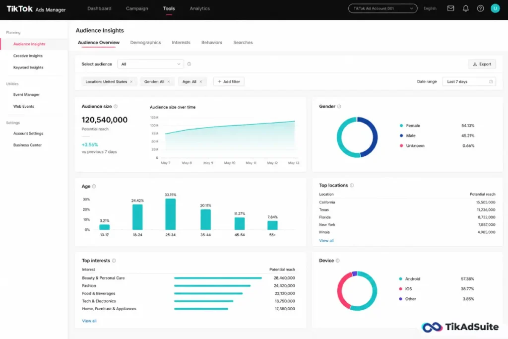 TikTok ad Audience Overview tab
