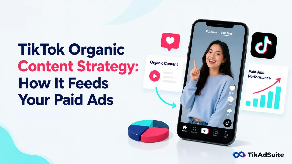 TikTok Organic Content Strategy